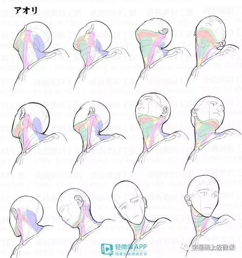 不會畫頭像？這100張高清素材趕緊收藏，平面設計必備！